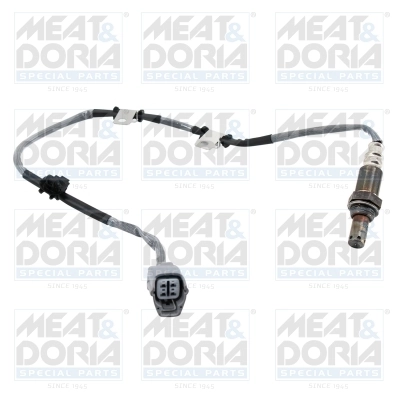 Oxygen Sensor